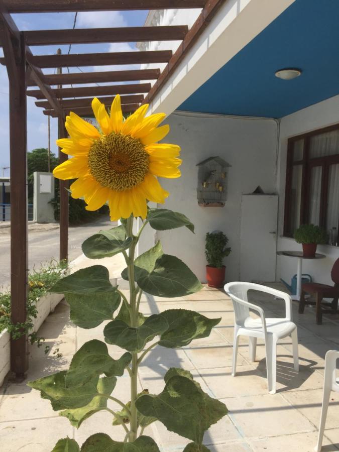 Apartment Bonatsa Andros