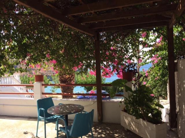 Bonatsa Andros Apartment *