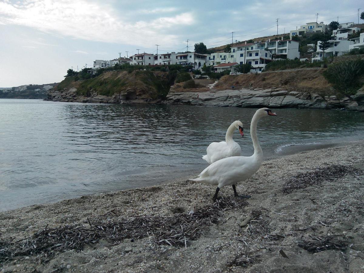 Bonatsa Andros Apartmán Batsíon
